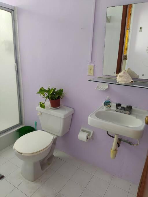Coral Apartment Cancun Ngoại thất bức ảnh